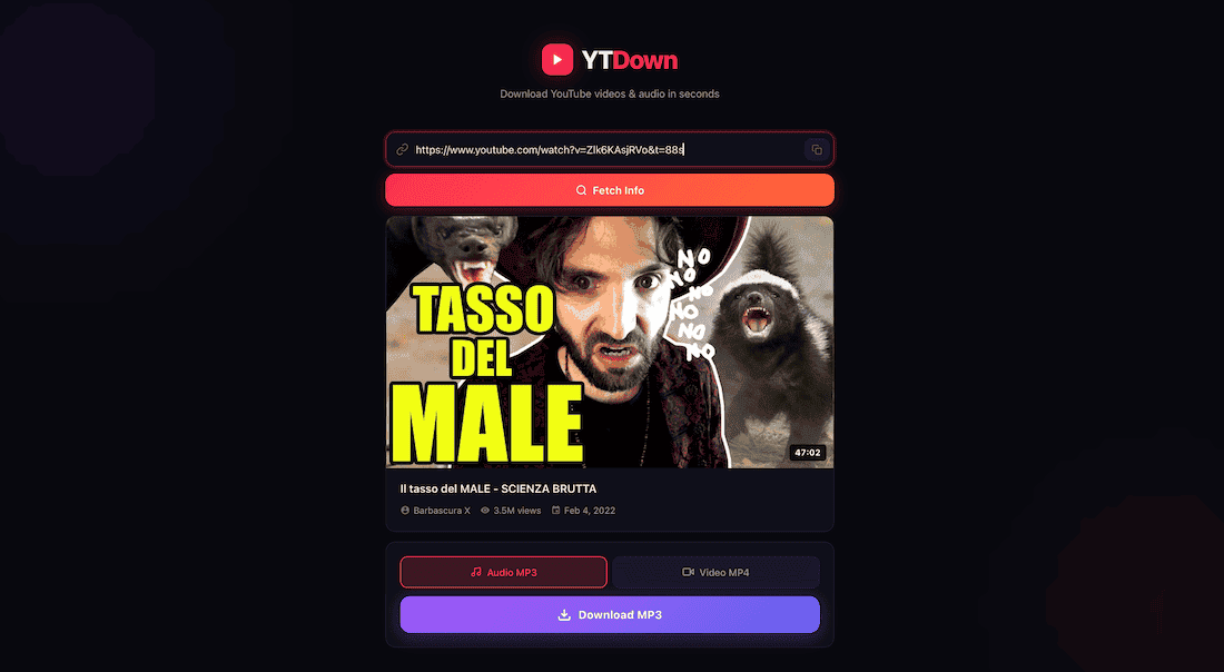 Immagine YTDown